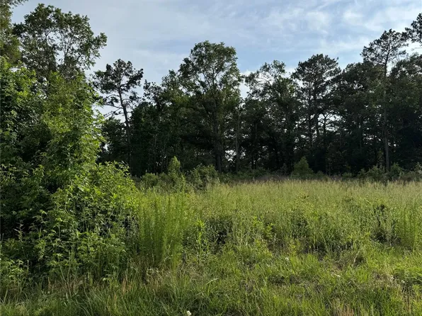 Pine St, Cleveland, TX 77327