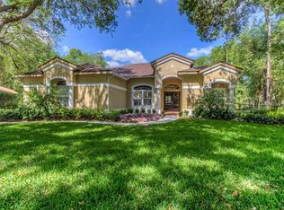 5829 Audubon Manor Blvd, Lithia, FL 33547