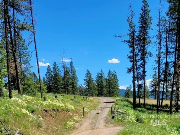 4042 Meadow View Rd, New Meadows, ID 83654