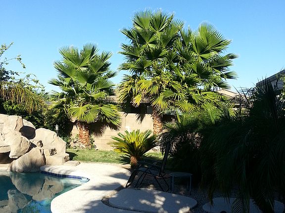 3rd image of 819 E Cierra Cir