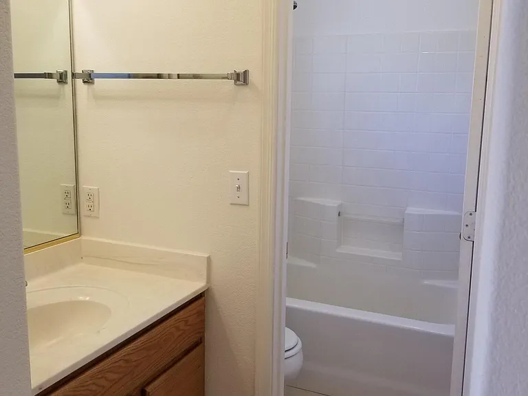 Master Bathroom area