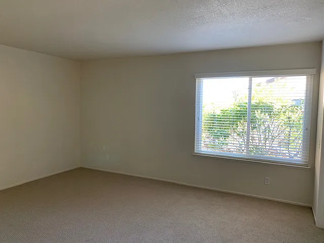 348 Port Royal Ave — Photo 10
