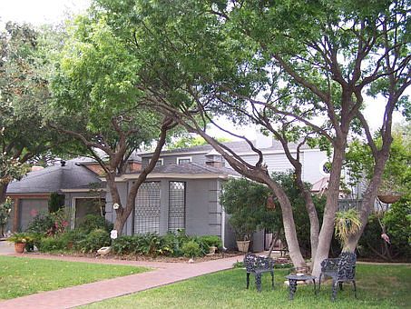 2nd image of 2334 Lindenwood Dr
