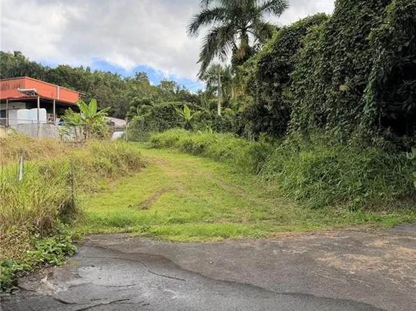 Cta Abajo Bo Barrazas, Carolina, PR 00987