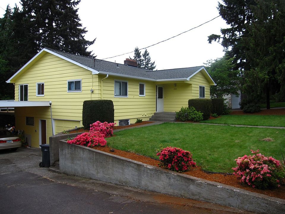 Street view from Driveway