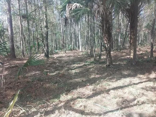 18954 N County Road 329, Micanopy, FL 32667