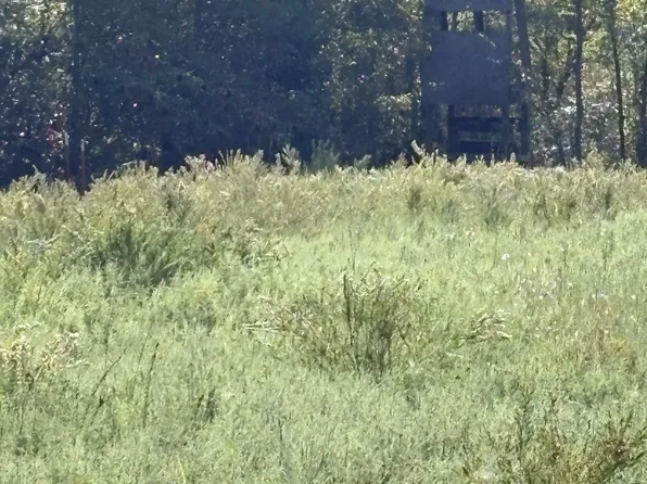 0 E 1044th Rd, Boley, OK 74829