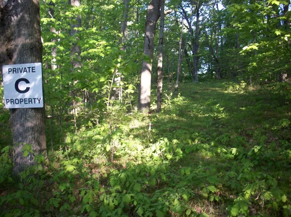 25 & 26 E Barx Rd, Chase, MI 49623