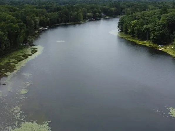 8653 Lakeside Trl, Harrison, MI 48625