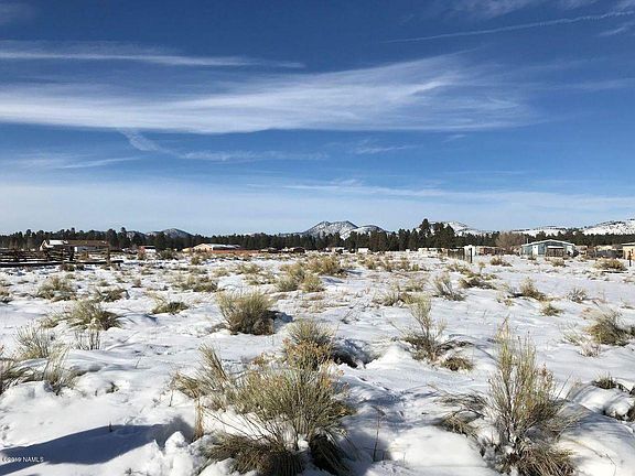 5th image of 8275 Wolf Creek Dr