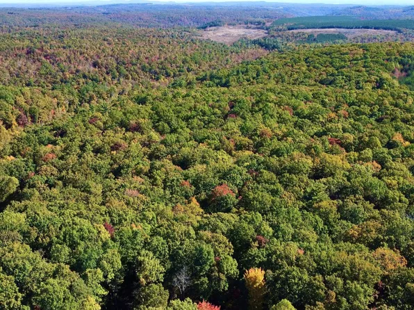 17 Log Rd, Spring City, TN 37381