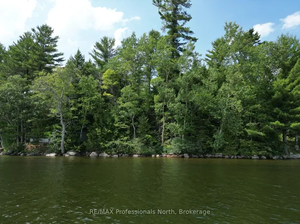 0 Halls Lake Rd, Algonquin Highlands, ON K0M 1S0