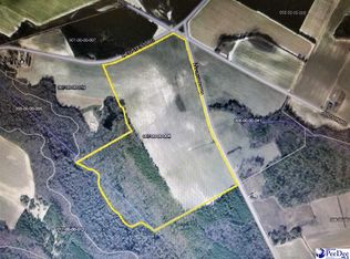 Tbd Minturn Rd, Dillon, SC 29536