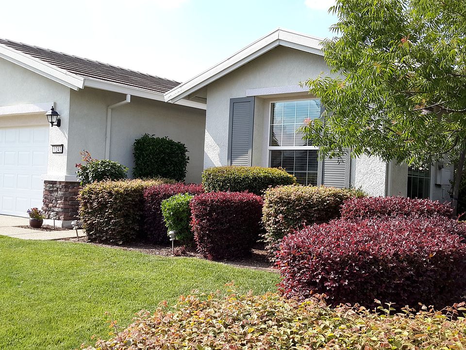 1st image of 1243 Tiger Lily Ln