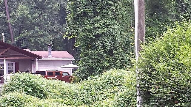 2nd image of 64 Brooklyn Rd