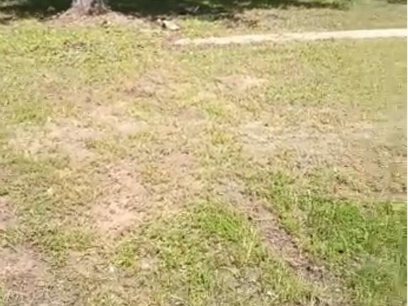 4th image of 0 Natchez Trl