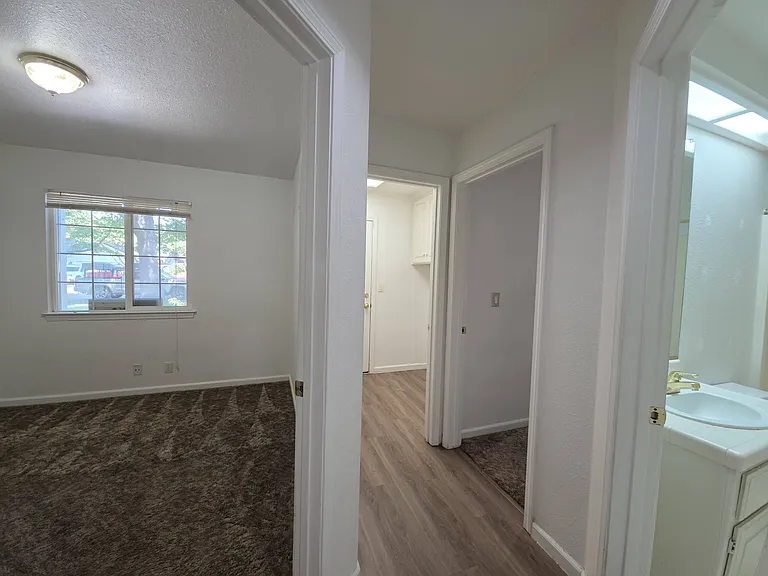 819 Black Walnut Way — Photo 9
