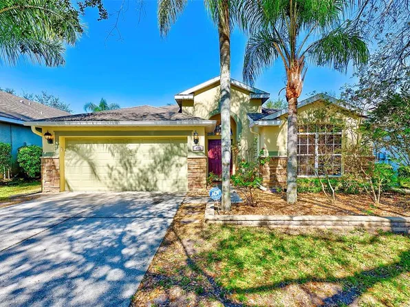 422 Down Pine Dr, Seffner, FL 33584