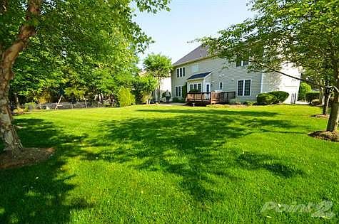 Huge, fenced, flat backyard!