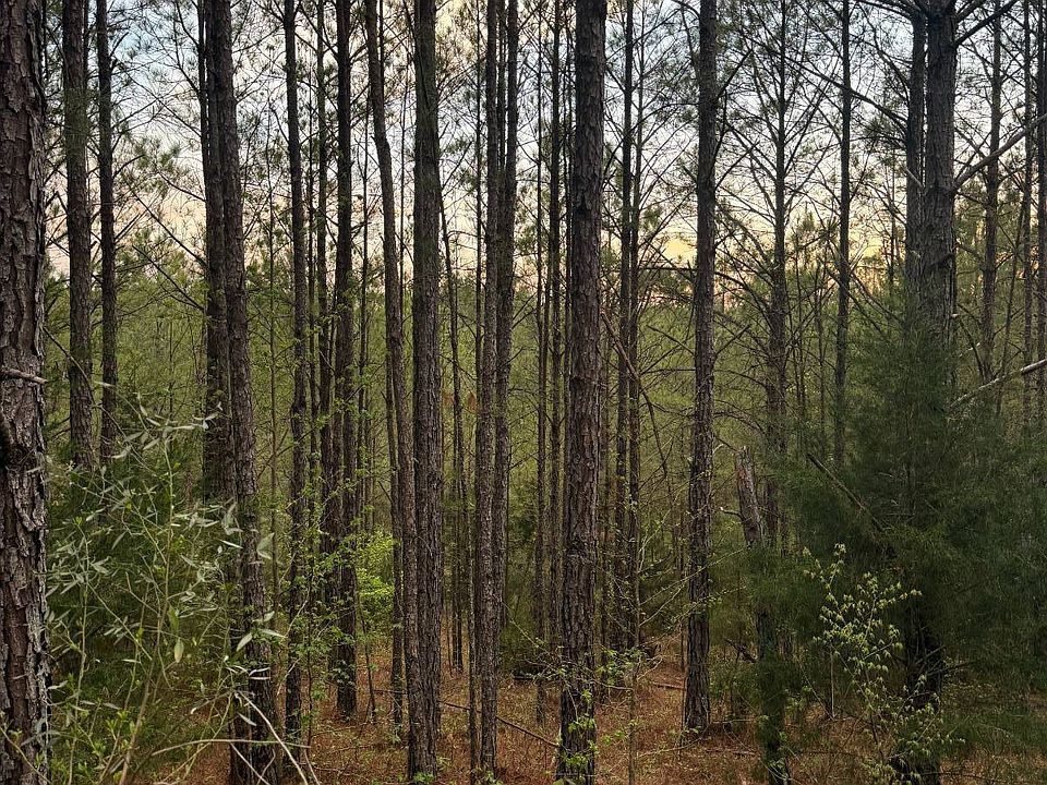 1st image of 0 Virg Rd