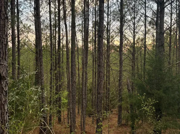 0 Virg Rd, Preston, MS 39354