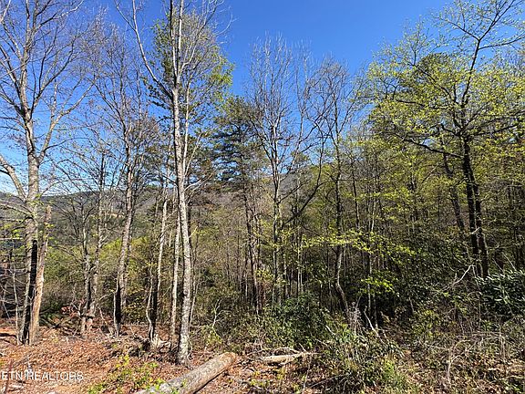 5th image of LOT 11 Perry Circle Ln
