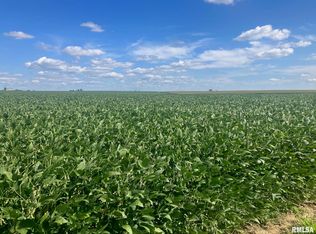 0 Morgan Rd, Mackinaw, IL 61755