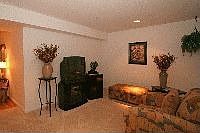 Basement Family Room