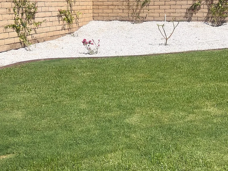80604 Tinsley Ave — Photo 31