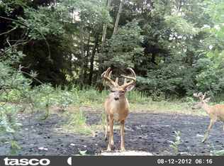 0 Shannon Tipple Rd, Sligo, PA 16255