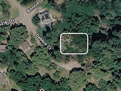 27891 Debbie Ct, Pioneer, CA, 95666