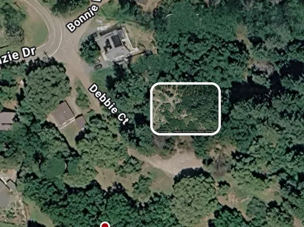 27891 Debbie Ct, Pioneer, CA 95666
