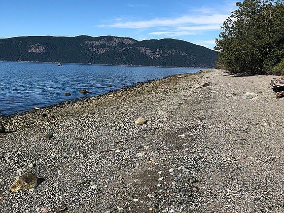 View northward up beach