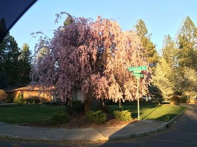 9904 N Arrowhead Rd, Spokane, WA, 99208