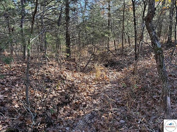 4th image of Whitetail Way