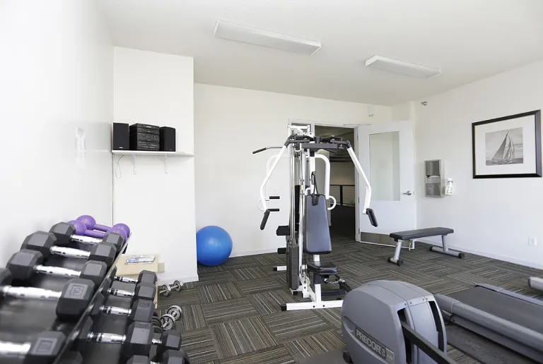 Variety of Fitness Equipment