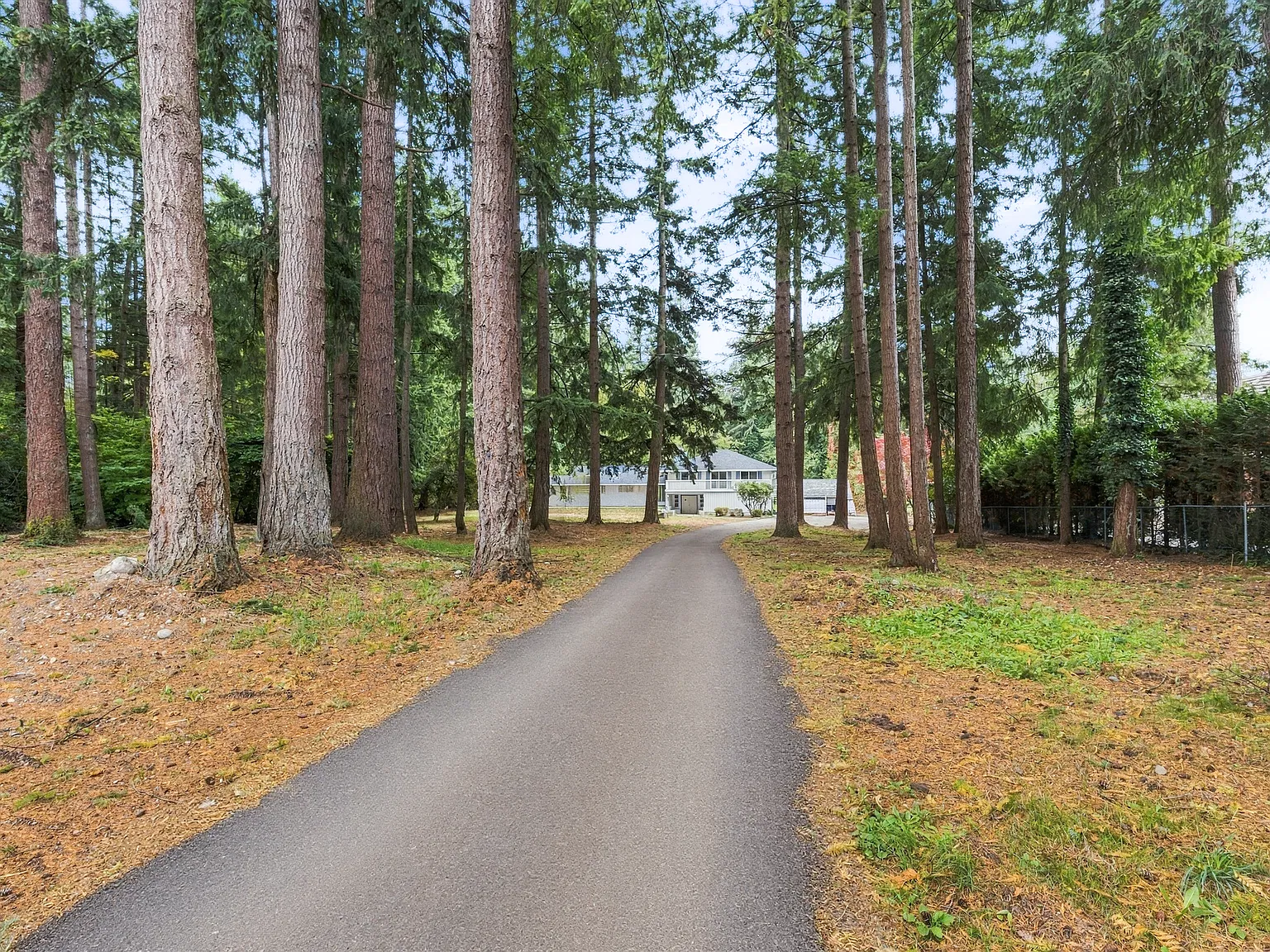 12342 New Mclellan Road — Photo 3