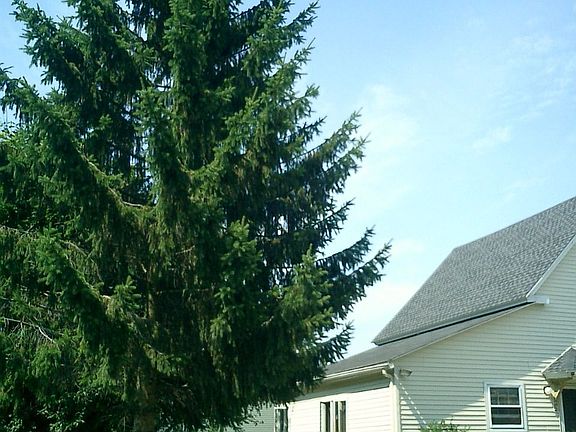 Home Front Tree