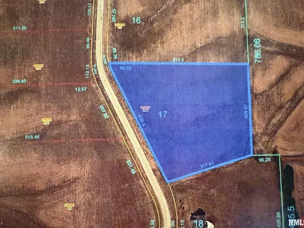 2321 Olof Krans Ave, Galva, IL 61434