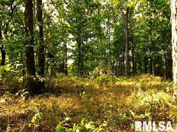 0 Campbells Corner Rd, Mc Leansboro, IL 62859