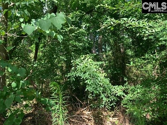3rd image of 2628 Leesburg Rd