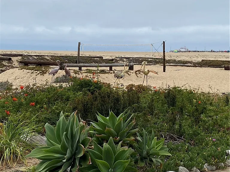 1119 E Balboa Blvd #A — Photo 28