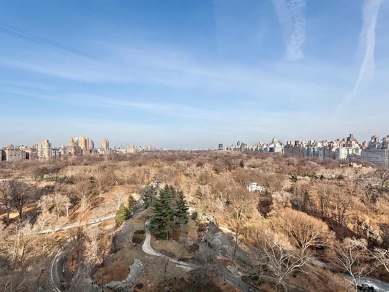 110 Central Park S #8B — Photo 10