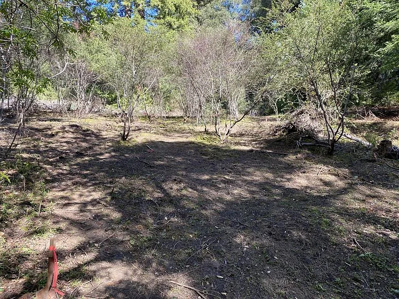 25555 Hutchinson Rd photo 1