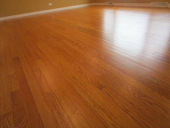 5th image of 330 E 170th Pl