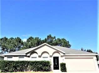 15827 Switch Cane St, Clermont, FL 34711