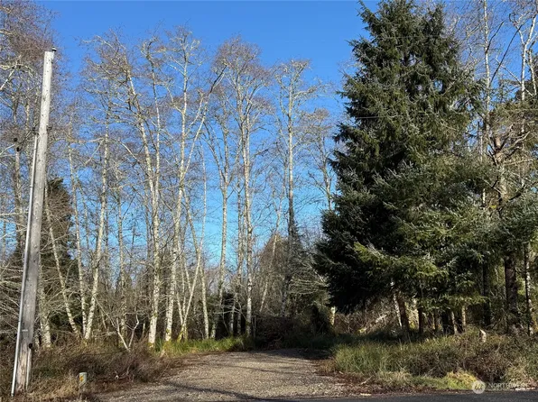 1805 324th Place, Ocean Park, WA 98640