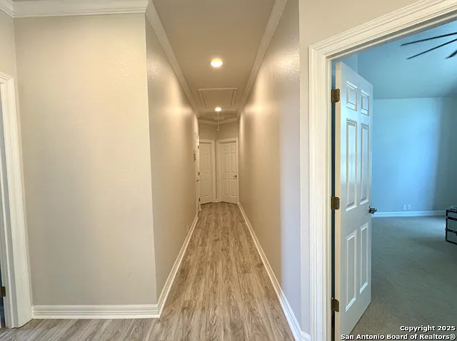 22223 Roan Frst — Photo 15