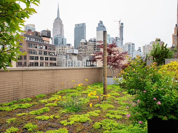 260 West 26th Street image 25 of 27