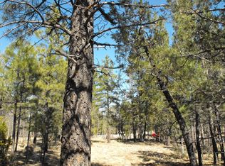 3204 Starlight Drive, Happy Jack, AZ 86024